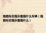 指路标志指示是指什么车辆（指路标志指示是指什么）