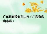 广东省有没有东山市（广东有东山市吗）