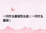 一只什么量词怎么说（一只什么量词）