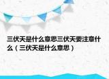 三伏天是什么意思三伏天要注意什么（三伏天是什么意思）