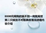 8800元网购的猫不到一周就离世 第二只猫货不对板具体情况详细内容介绍