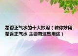 藿香正气水的十大妙用（教你妙用藿香正气水 主要有这些用途）
