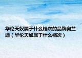 华伦天奴属于什么档次的品牌奥兰迪（华伦天奴属于什么档次）