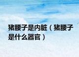 猪腰子是内脏（猪腰子是什么器官）