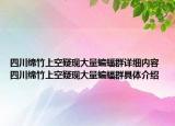四川绵竹上空疑现大量蝙蝠群详细内容 四川绵竹上空疑现大量蝙蝠群具体介绍