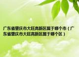 广东省肇庆市大旺高新区属于哪个市（广东省肇庆市大旺高新区属于哪个区）