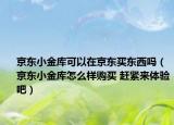 京东小金库可以在京东买东西吗（京东小金库怎么样购买 赶紧来体验吧）