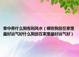 家中养什么狗有利风水（哪些狗放在家里最好运气好什么狗放在家里最好运气好）