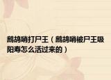 鹧鸪哨打尸王（鹧鸪哨被尸王吸阳寿怎么活过来的）