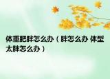 体重肥胖怎么办（胖怎么办 体型太胖怎么办）