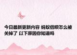 今日最新更新内容 蚂蚁借呗怎么被关掉了 以下原因你知道吗