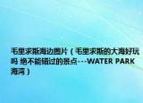 毛里求斯海边图片（毛里求斯的大海好玩吗 绝不能错过的景点---WATER PARK 海湾）