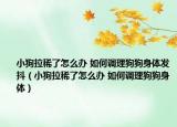 小狗拉稀了怎么办 如何调理狗狗身体发抖（小狗拉稀了怎么办 如何调理狗狗身体）