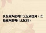 长板跟双翘有什么区别图片（长板跟双翘有什么区别）