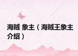 海贼 象主（海贼王象主介绍）