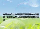 猪不吃食怎么办不同原因不同解决方法视频（猪不吃食怎么办不同原因不同解决方法）