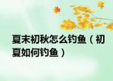 夏末初秋怎么钓鱼（初夏如何钓鱼）
