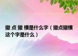 撇 点 撇 横是什么字（撇点撇横这个字是什么）