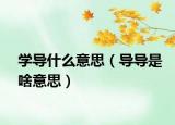 学导什么意思（导导是啥意思）