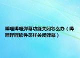 哔哩哔哩弹幕功能关闭怎么办（哔哩哔哩软件怎样关闭弹幕）