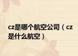 cz是哪个航空公司（cz是什么航空）
