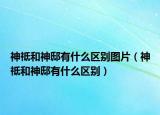 神祗和神邸有什么区别图片（神祗和神邸有什么区别）