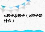 α粒子,β粒子（α粒子是什么）