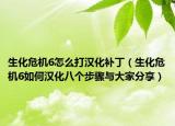 生化危机6怎么打汉化补丁（生化危机6如何汉化八个步骤与大家分享）