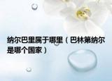 纳尔巴里属于哪里（巴林第纳尔是哪个国家）