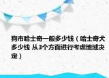 狗市哈士奇一般多少钱（哈士奇犬多少钱 从3个方面进行考虑地域决定）