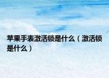 苹果手表激活锁是什么（激活锁是什么）