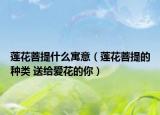莲花菩提什么寓意（莲花菩提的种类 送给爱花的你）
