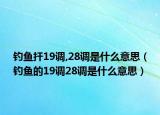 钓鱼扞19调,28调是什么意思（钓鱼的19调28调是什么意思）