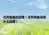 北冥有鱼的道理（北冥有鱼说明什么道理）