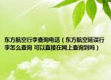 东方航空行李查询电话（东方航空延误行李怎么查询 可以直接在网上查询到吗）