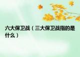 六大保卫战（三大保卫战指的是什么）