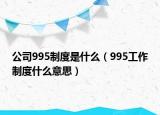 公司995制度是什么（995工作制度什么意思）