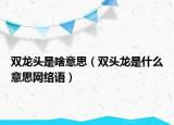 双龙头是啥意思（双头龙是什么意思网络语）