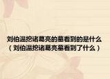 刘伯温挖诸葛亮的墓看到的是什么（刘伯温挖诸葛亮墓看到了什么）