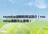 roundup函数的用法简介（roundup函数怎么使用）