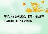 手机lnk文件怎么打开（安卓手机如何打开lnk文件搜）