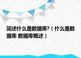 简述什么是数据库?（什么是数据库 数据库概述）