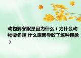 动物要冬眠是因为什么（为什么动物要冬眠 什么原因导致了这种现象）