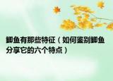 鲫鱼有那些特征（如何鉴别鲫鱼 分享它的六个特点）