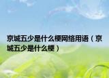 京城五少是什么梗网络用语（京城五少是什么梗）
