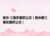 高中 三角形面积公式（高中解三角形面积公式）