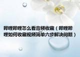 哔哩哔哩怎么看音频收藏（哔哩哔哩如何收藏视频简单六步解决问题）
