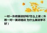 一对一外教英语好吗?怎么上课（外教一对一英语培训 为什么英语学不好）