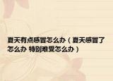 夏天有点感冒怎么办（夏天感冒了怎么办 特别难受怎么办）