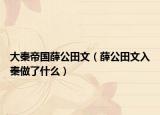 大秦帝国薛公田文（薛公田文入秦做了什么）